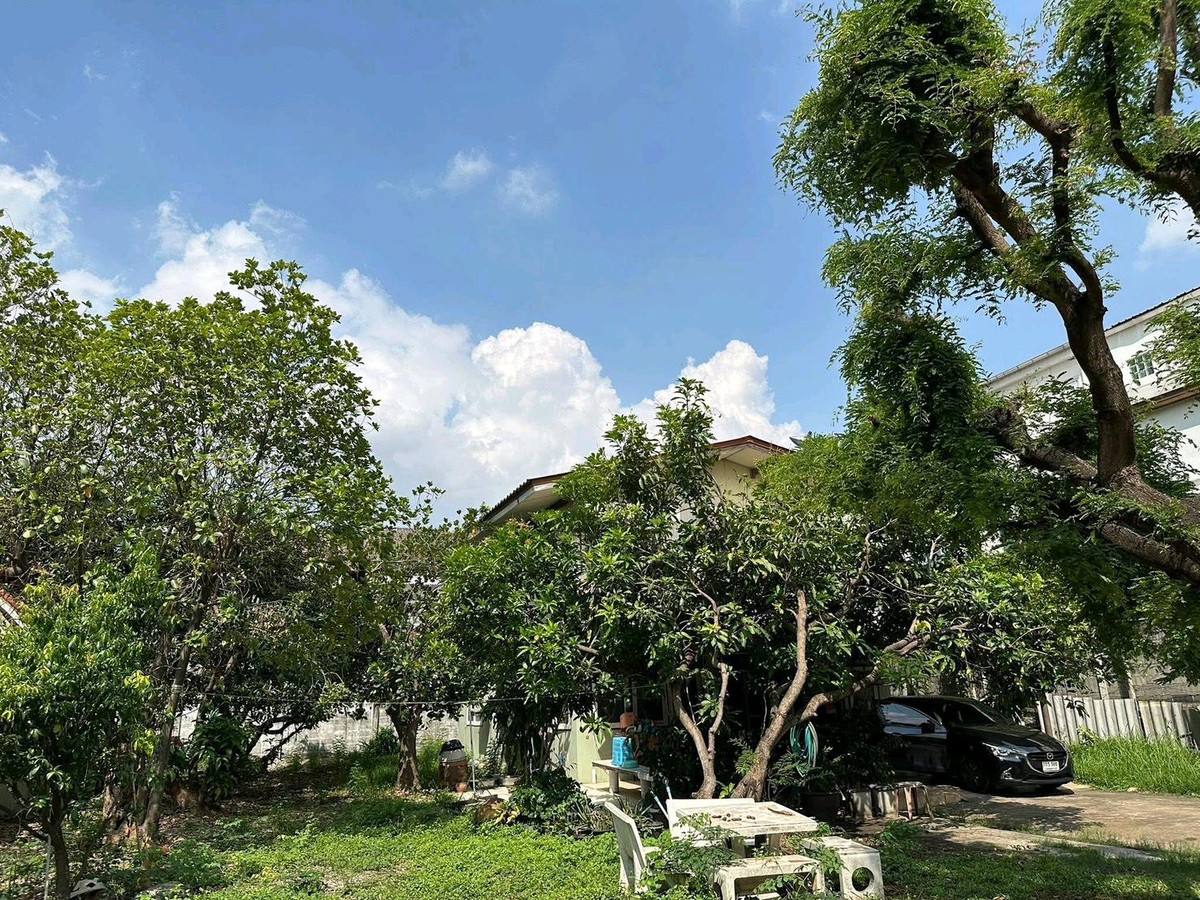 ให้เช่าที่ดินพระราม 9 เพชรบุรีตัดใหม่ RCA : ให้เช่าที่ดินพร้อมสิ่งปลูกสร้างครึ่งตึกครึ่งไม้ เหมาะสำหรับทำร้านอาหาร หรือ cafe 

เนื้อที่ 163 ตรว
ที่ตั้ง : พระราม 9 ซอย 55 