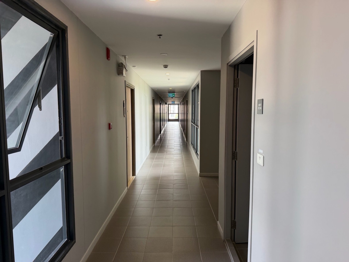 CondoBangna, Bearing, Lasalle : Condo for rent IDEO O2 (Ideo O2), near the mall, near the BTS.