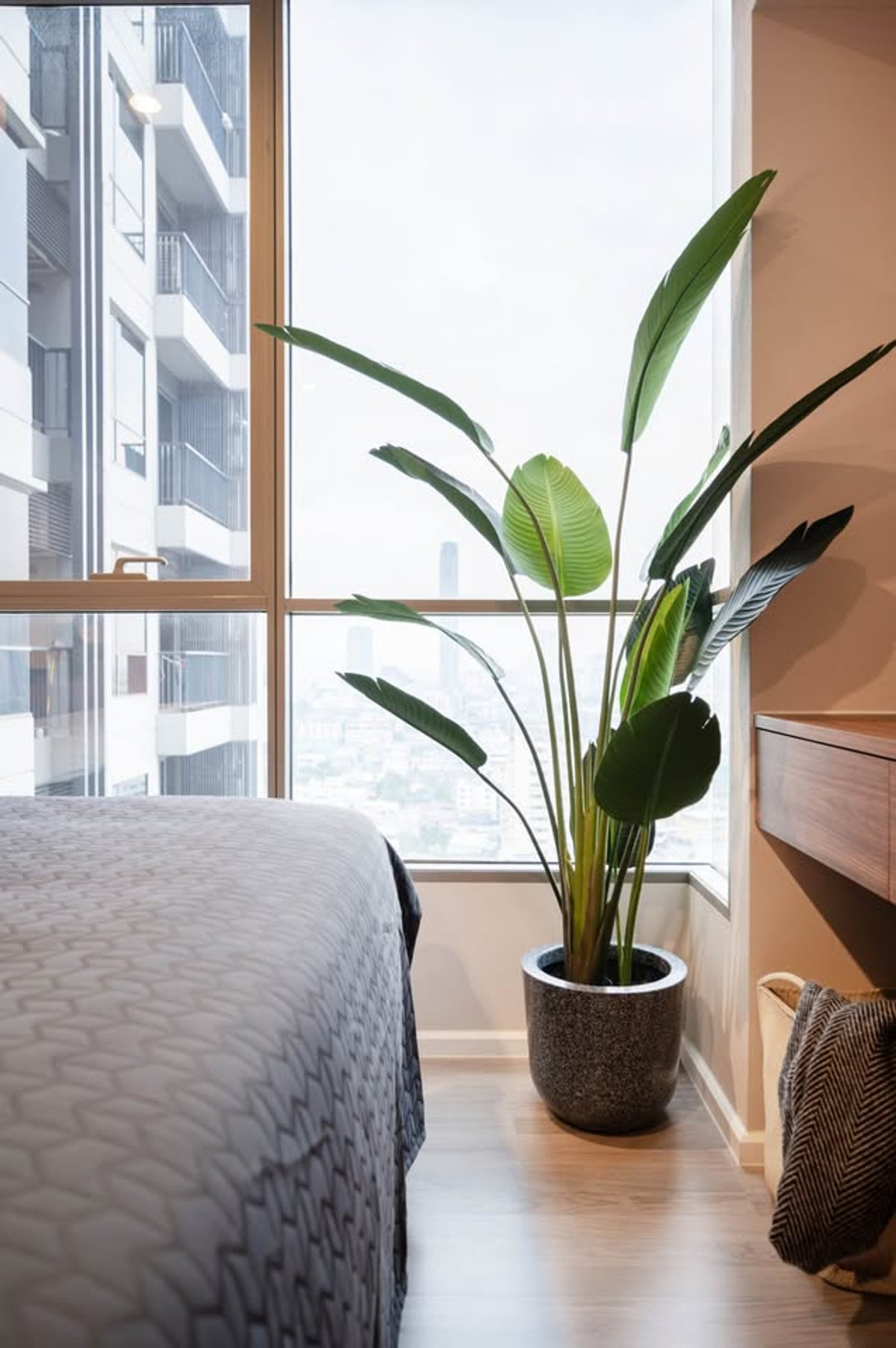 ขายคอนโดสาทร นราธิวาส : 🚩The Room Sathorn St. Louis  ใกล้ทางด่วน ติดกับสำนักงานเขตสาทร