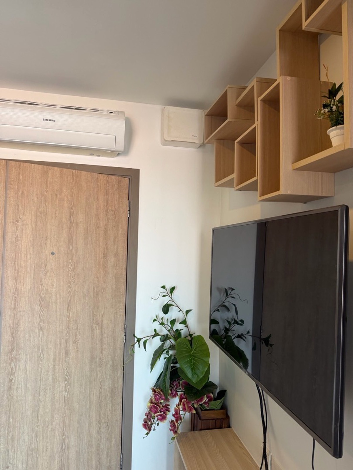 CondoBangna, Bearing, Lasalle : Condo for rent IDEO O2 (Ideo O2), near the mall, near the BTS.