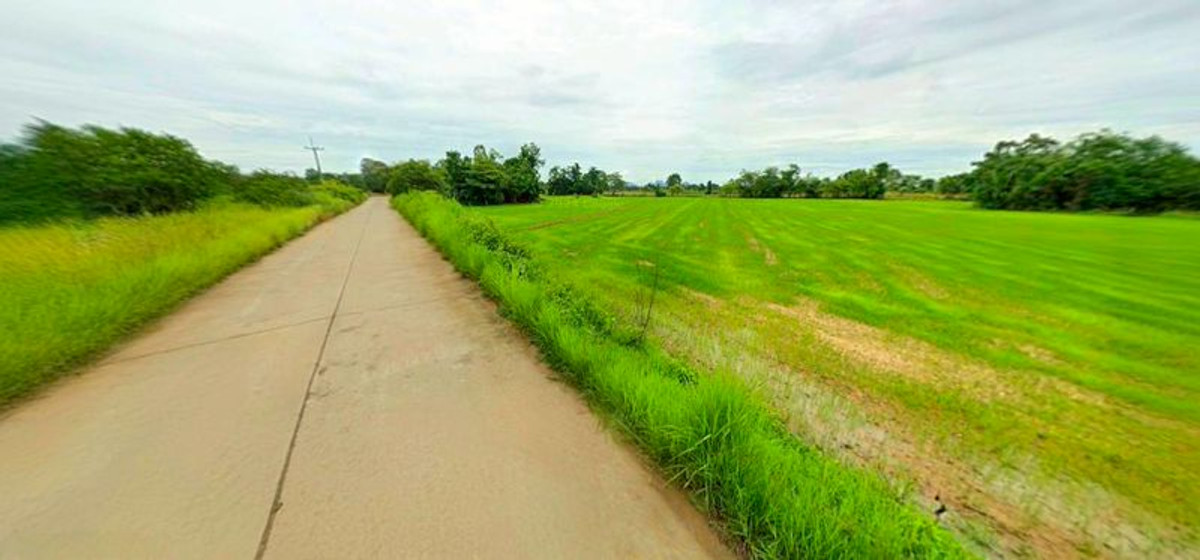 For SaleLandNakhon Sawan : Land for sale, 13 rai 2 ngan, next to a public road, concrete, Red Garuda title deed, has income from rent, Ban Rai Subdistrict, Lat Yao District, Nakhon Sawan Province.
