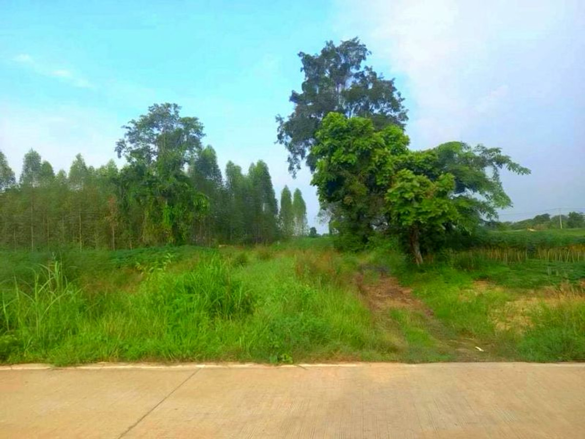 For SaleLandNakhon Sawan : Land for sale, 13 rai 2 ngan, next to a public road, concrete, Red Garuda title deed, has income from rent, Ban Rai Subdistrict, Lat Yao District, Nakhon Sawan Province.