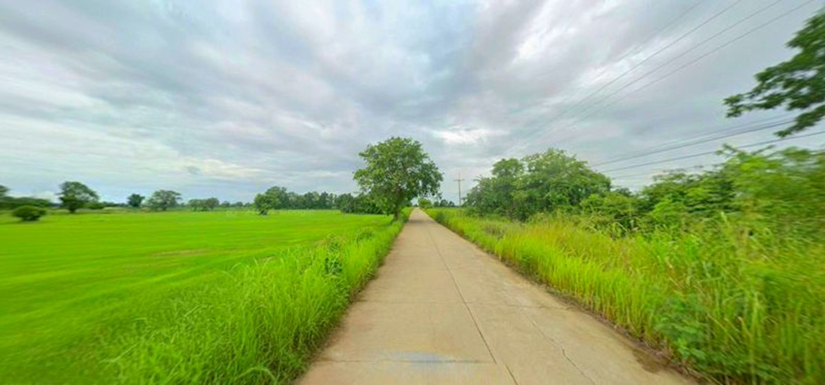 For SaleLandNakhon Sawan : Land for sale, 13 rai 2 ngan, next to a public road, concrete, Red Garuda title deed, has income from rent, Ban Rai Subdistrict, Lat Yao District, Nakhon Sawan Province.