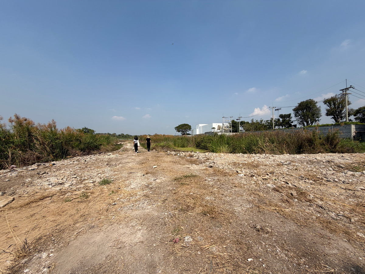 For SaleLandPathum Thani,Rangsit, Thammasat : Land for sale riverside Chao Phraya River Mueang Pathum Thani