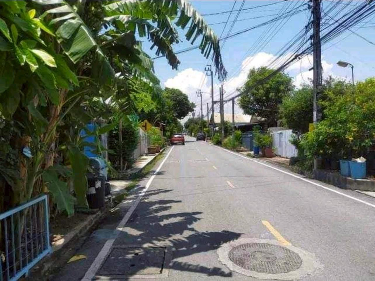 ให้เช่าบ้านพระราม 5 ราชพฤกษ์ บางกรวย : โครงการติดถนนบางกรวย–ไทรน้อย
บ้านชั้นเดียว หมู่บ้านบัวทองเคหะ