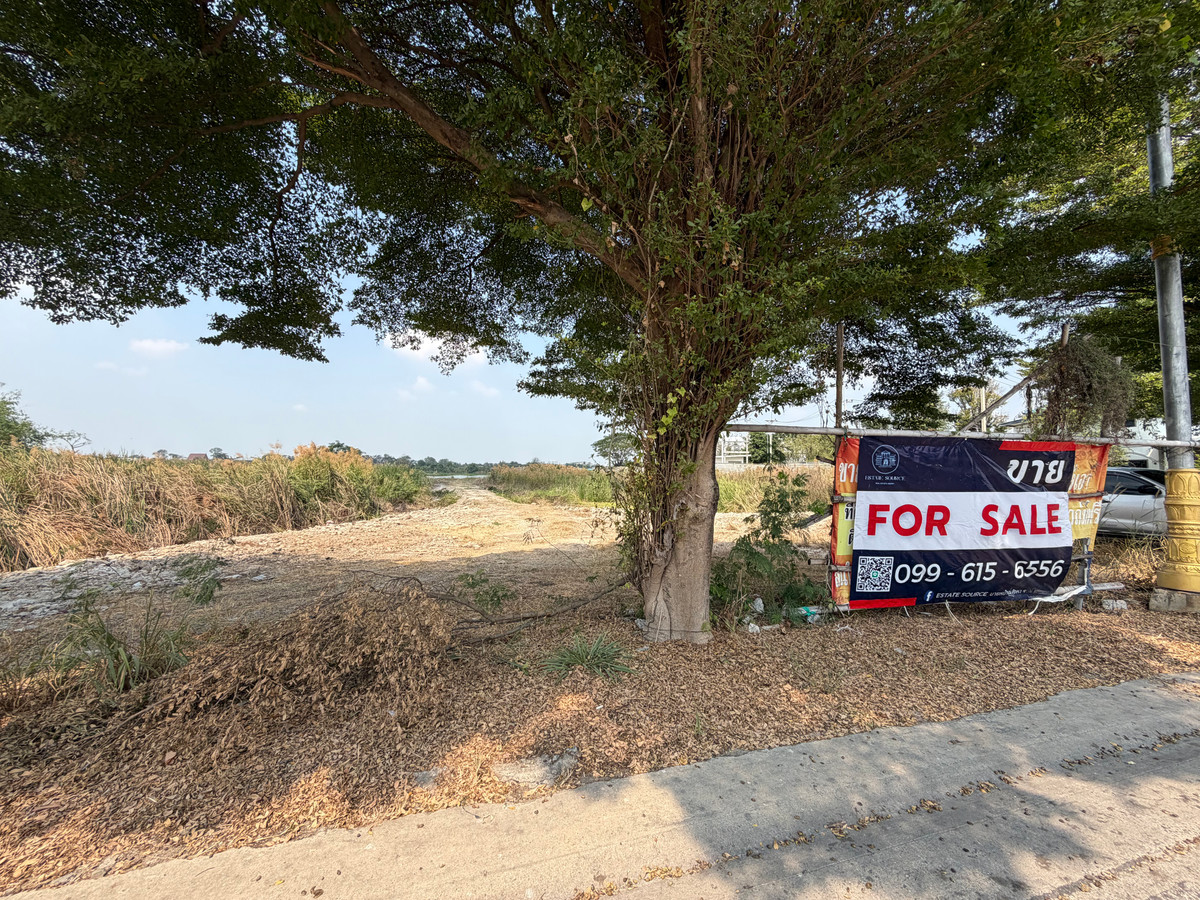 ขายที่ดินปทุมธานี รังสิต ธรรมศาสตร์ : ขายที่ดินริมน้ำเจ้าพระยา เมืองปทุมธานี 14 ไร่ 1 งาน 80 ตารางวา ติดริมแม่น้ำ วิวสวย ตารางวาละ 80,000 บาท