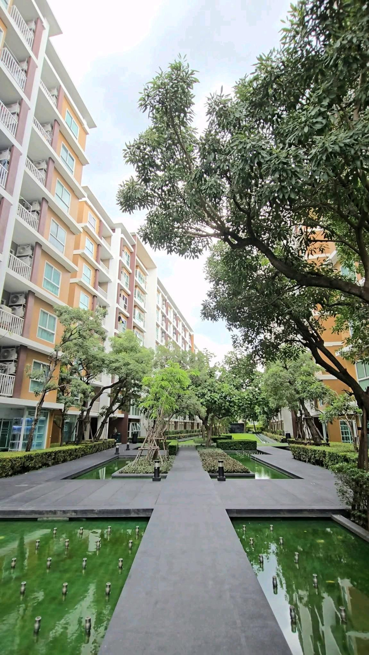 ขายคอนโดเลียบทางด่วนรามอินทรา : ผ่อน 6,xxx [ วีคอนโด เอกมัย-รามอินทรา ] ใกล้ตลาดเลียบด่วนรามอินทรา ใกล้ MRT วัชระพล 700 เมตร ไม่ต้องดาวน์ !!