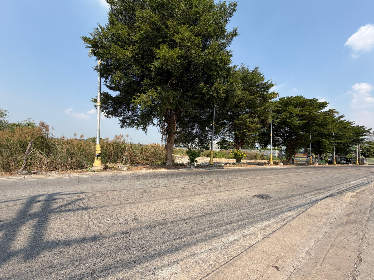 ขายที่ดินปทุมธานี รังสิต ธรรมศาสตร์ : ขายที่ดินริมน้ำเจ้าพระยา เมืองปทุมธานี 14 ไร่ 1 งาน 80 ตารางวา ติดริมแม่น้ำ วิวสวย ตารางวาละ 80,000 บาท