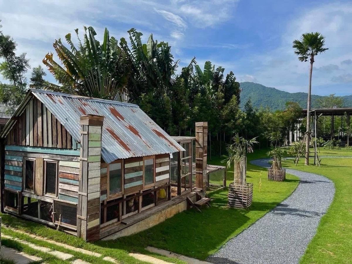 ขายบ้านปากช่อง เขาใหญ่ : ขายพูลวิลล่าเขาใหญ่ หมูสี วิวภูเขา บนที่ดิน 1,942 ตร.ว มี 2 หลัง พร้อมสิ่งปลูกสร้าง เหมาะอยู่อาศัยหรือทำธุรกิจ
