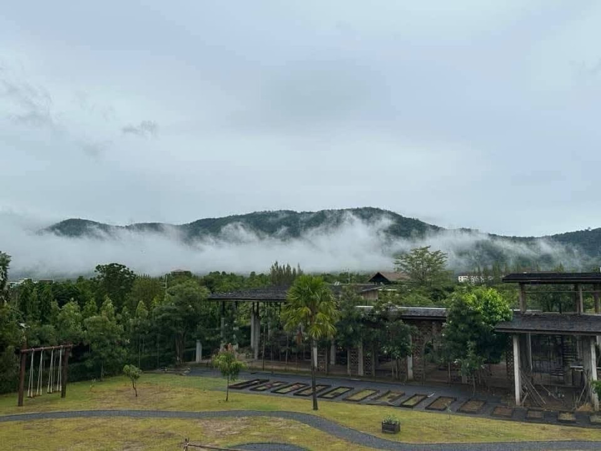 ขายบ้านปากช่อง เขาใหญ่ : ขายพูลวิลล่าเขาใหญ่ หมูสี วิวภูเขา บนที่ดิน 1,942 ตร.ว มี 2 หลัง พร้อมสิ่งปลูกสร้าง เหมาะอยู่อาศัยหรือทำธุรกิจ
