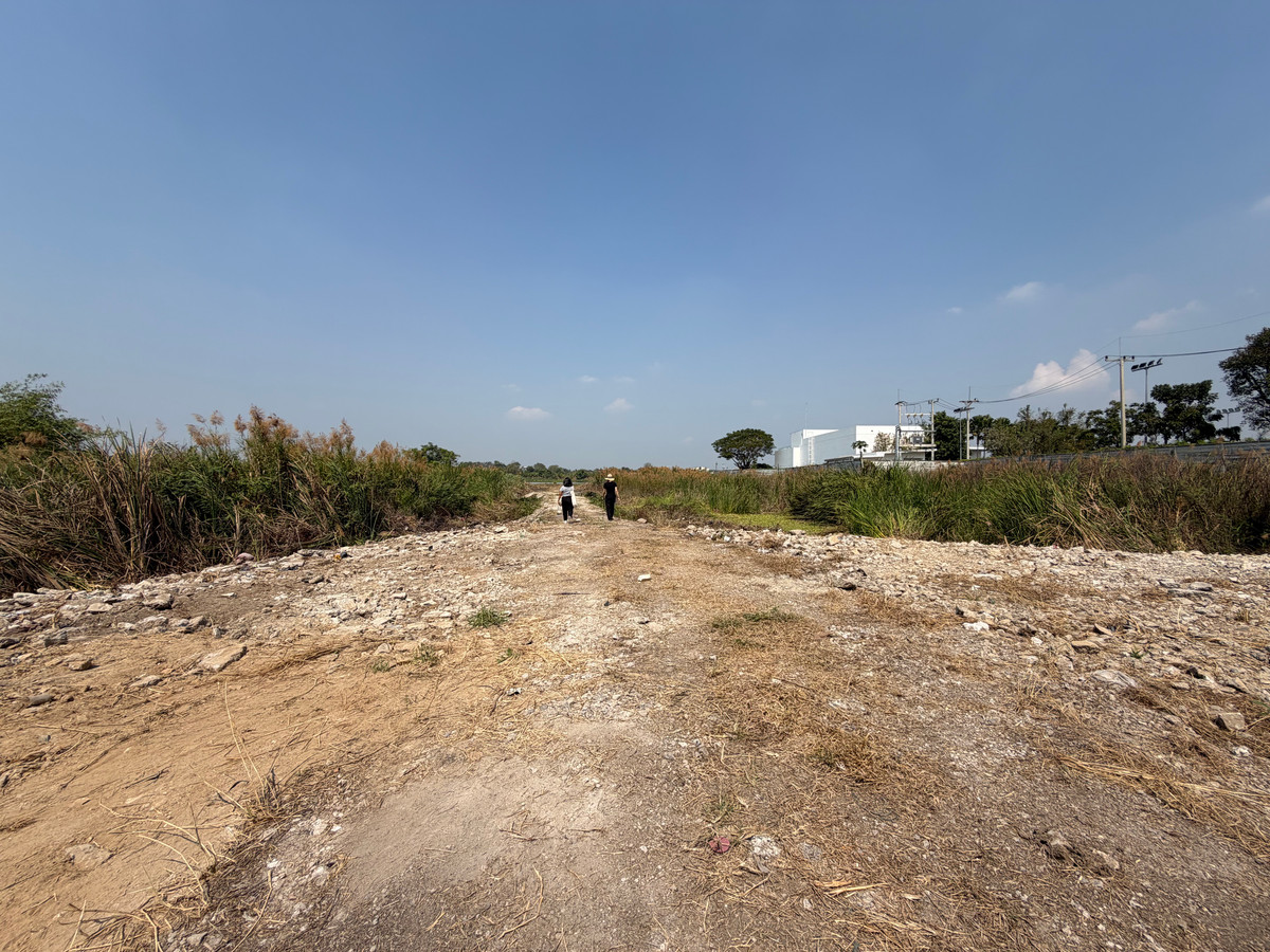 ขายที่ดินปทุมธานี รังสิต ธรรมศาสตร์ : ขายที่ดินริมน้ำเจ้าพระยา เมืองปทุมธานี 14 ไร่ 1 งาน 80 ตารางวา ติดริมแม่น้ำ วิวสวย ตารางวาละ 80,000 บาท