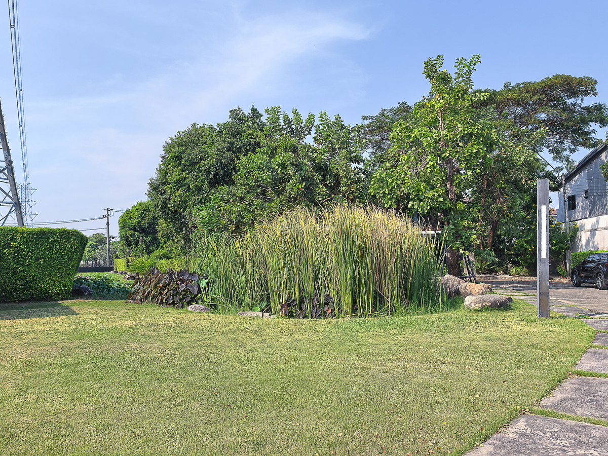 ขายบ้านลาดกระบัง สุวรรณภูมิ : บ้านเดี่ยว ร่มรื่น ใกล้อ่อนนุช จอดรถได้ 6 คัน