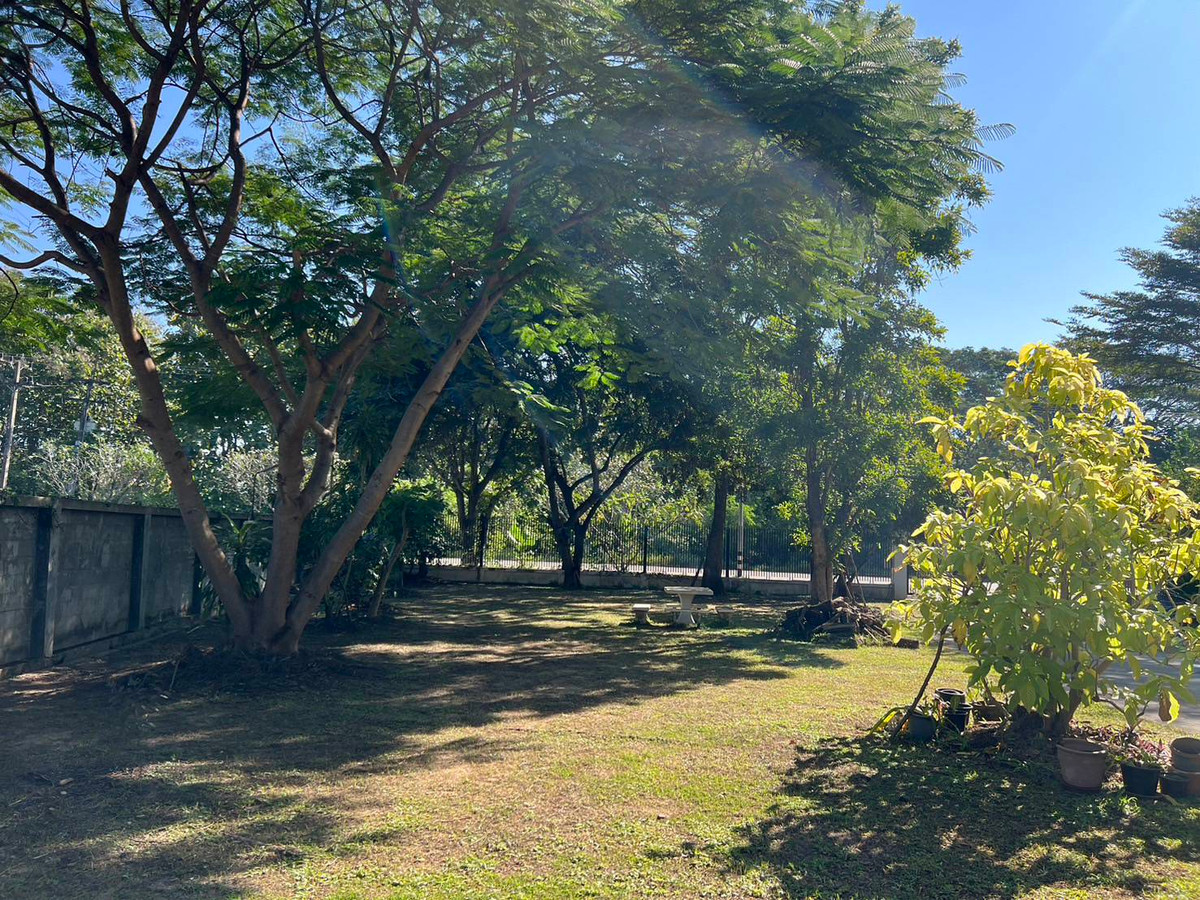 ขายบ้านเชียงใหม่ : 94897 - บ้านไม้สักแท้ 2 ชั้น ท่ามกลางธรรมชาติสัมผัสความอบอุ่นของ ในบรรยากาศทุ่งนา เงียบสงบ ร่มรื่น เหมาะกับการพักผ่อน ในใช้ชีวิตอย่างมีคุณภาพ และ สามารถต่อยอดเป็น “โอกาสทางธุรกิจ” ได้ในอนาคต