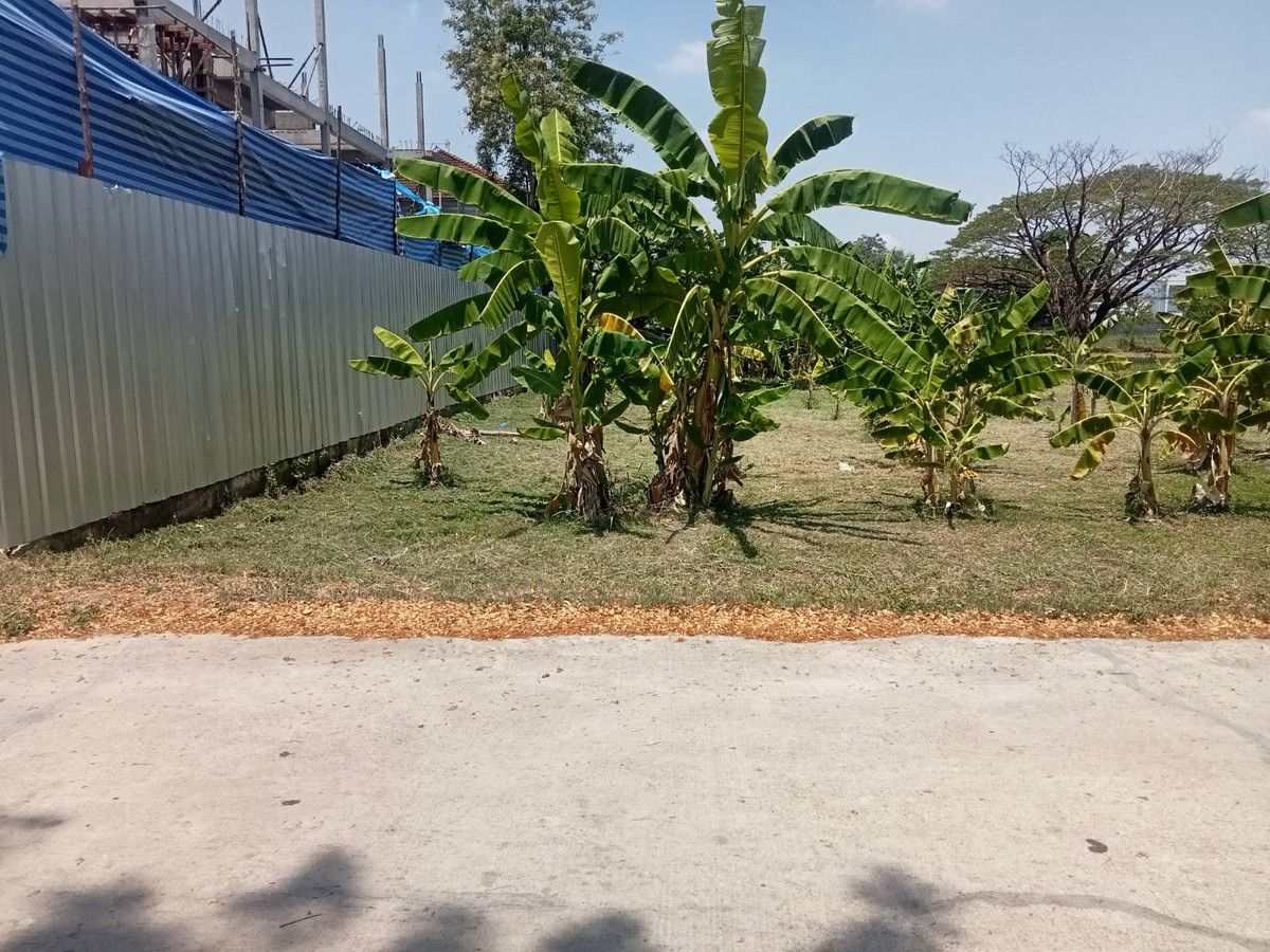 ขายที่ดินพัฒนาการ ศรีนครินทร์ : ขายที่ดินเปล่า​ เจ้าของขายเอง​ ซอยพัฒนาการ​ 58 ถนนพัฒนาการ​ กรุงเทพ