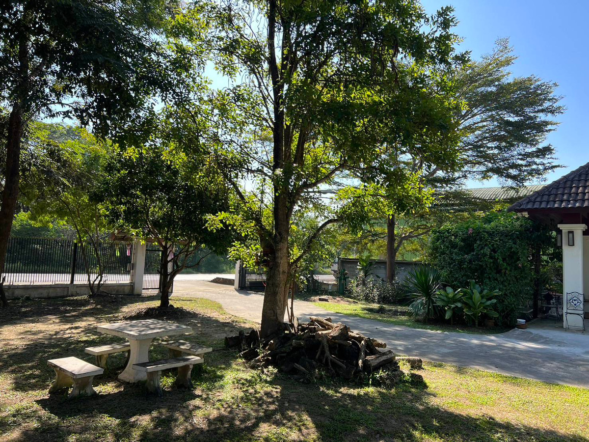 ขายบ้านเชียงใหม่ : 94897 - บ้านไม้สักแท้ 2 ชั้น ท่ามกลางธรรมชาติสัมผัสความอบอุ่นของ ในบรรยากาศทุ่งนา เงียบสงบ ร่มรื่น เหมาะกับการพักผ่อน ในใช้ชีวิตอย่างมีคุณภาพ และ สามารถต่อยอดเป็น “โอกาสทางธุรกิจ” ได้ในอนาคต