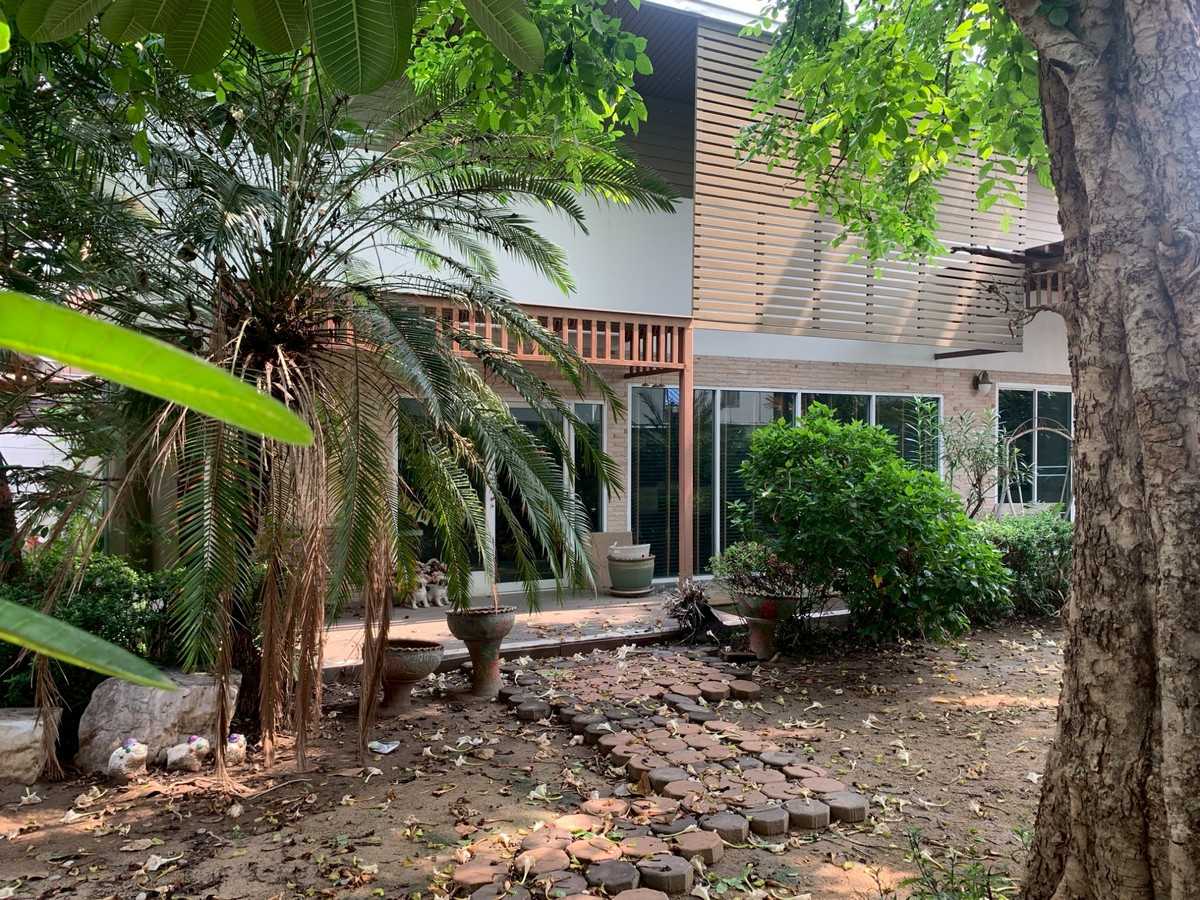 ขายที่ดินวิภาวดี ดอนเมือง หลักสี่ : 95728 - ขายที่ดิน พร้อมสิ่งปลูกสร้างเป็นเรือนรับรอง เนื้อที่ 103ตารางวา ในซอยแจ้งวัฒนะ 10 แยก 9-1-15 ทำเลดี เนื้อที่เยอะ เหมาะแก่การทำบ้านพักอาศัย