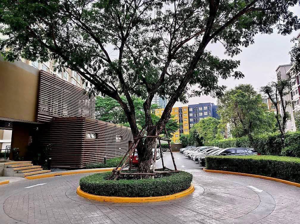 For SaleCondoPathum Thani,Rangsit, Thammasat : 🔥Urgent Sale🔥 Great Condo Campus - Rangsit Phase 2, Corner Unit, 1 Bedroom, 1 Bathroom, Garden View, Next to Swimming Pool ❗
