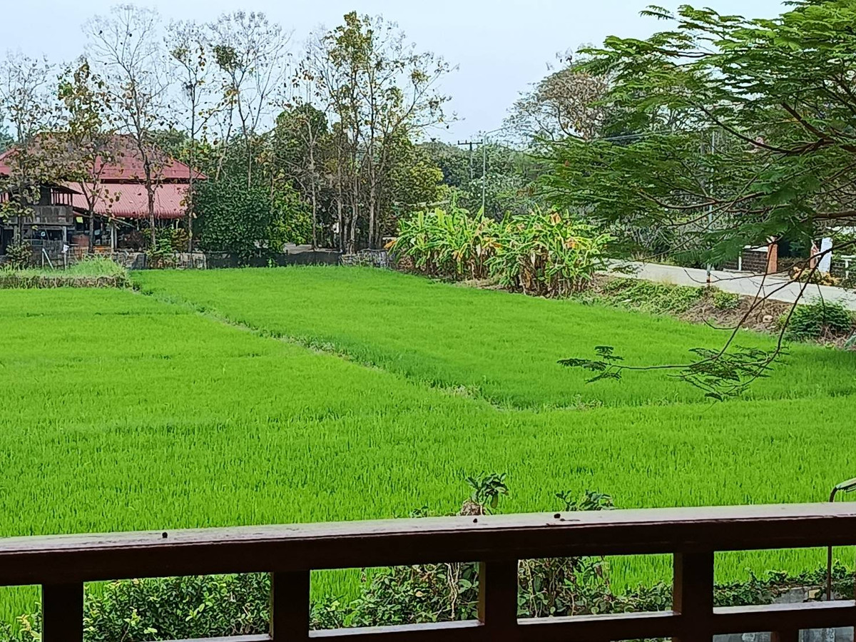 ขายบ้านเชียงใหม่ : 94897 - บ้านไม้สักแท้ 2 ชั้น ท่ามกลางธรรมชาติสัมผัสความอบอุ่นของ ในบรรยากาศทุ่งนา เงียบสงบ ร่มรื่น เหมาะกับการพักผ่อน ในใช้ชีวิตอย่างมีคุณภาพ และ สามารถต่อยอดเป็น “โอกาสทางธุรกิจ” ได้ในอนาคต