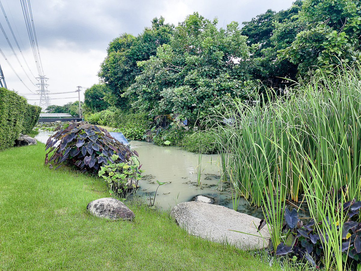 ขายบ้านลาดกระบัง สุวรรณภูมิ : บ้านเดี่ยว ร่มรื่น ใกล้อ่อนนุช จอดรถได้ 6 คัน