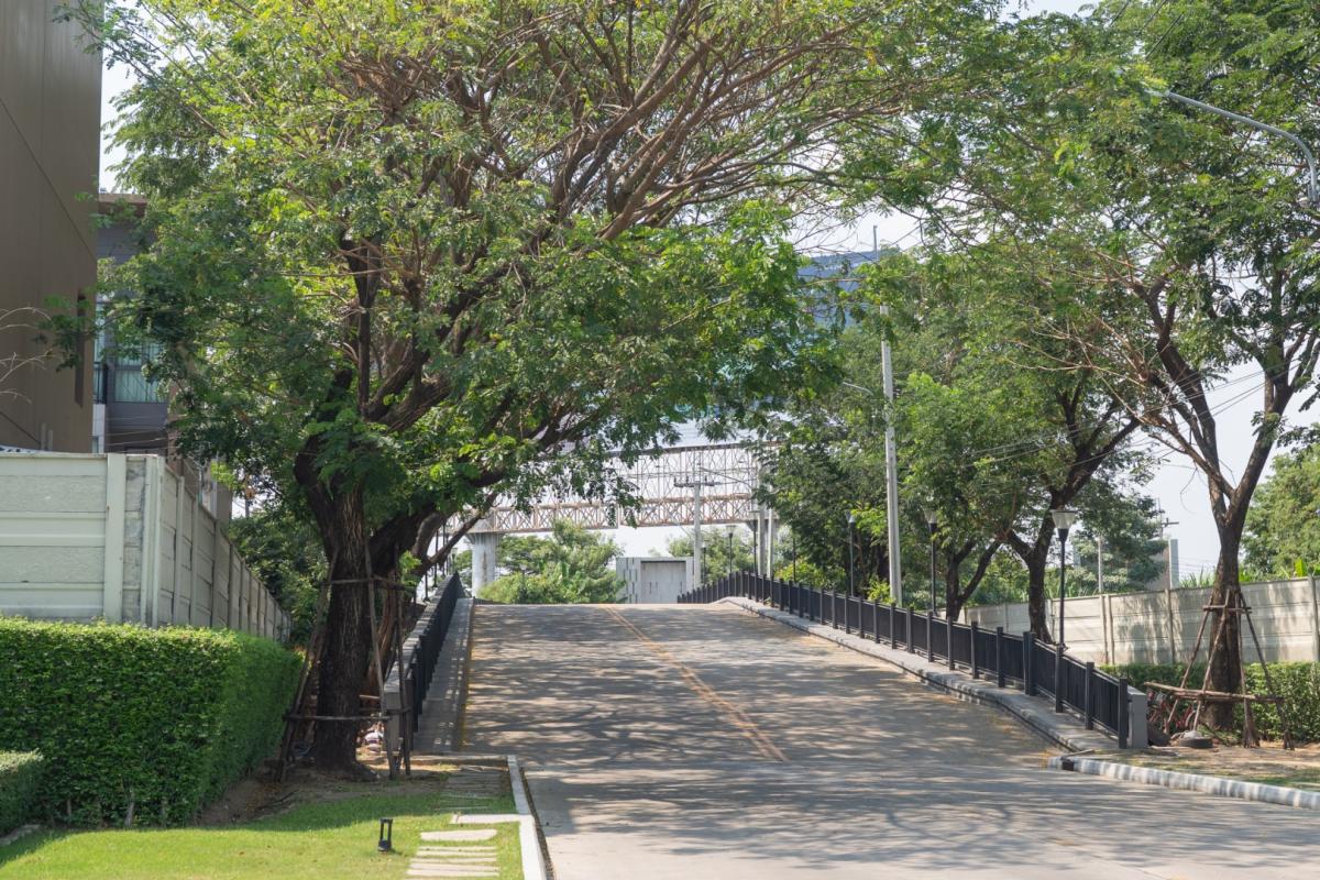 For RentHousePattanakan, Srinakarin : 🔥For Rent Immediately🔥 Baan Klang Muang The Edition Rama 9 - Bangkok Kreetha, 3 bedrooms, 3 bathrooms. Brand new house, excellent condition, convenient location, ready to move in❗