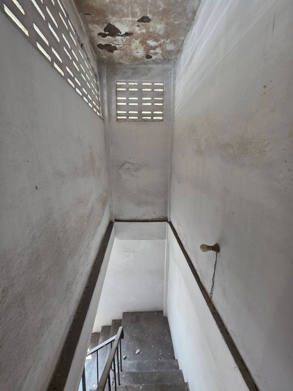 For RentShop HouseKasetsart, Ratchayothin : Commercial building for rent, near Senanikom BTS, only 3 minutes.