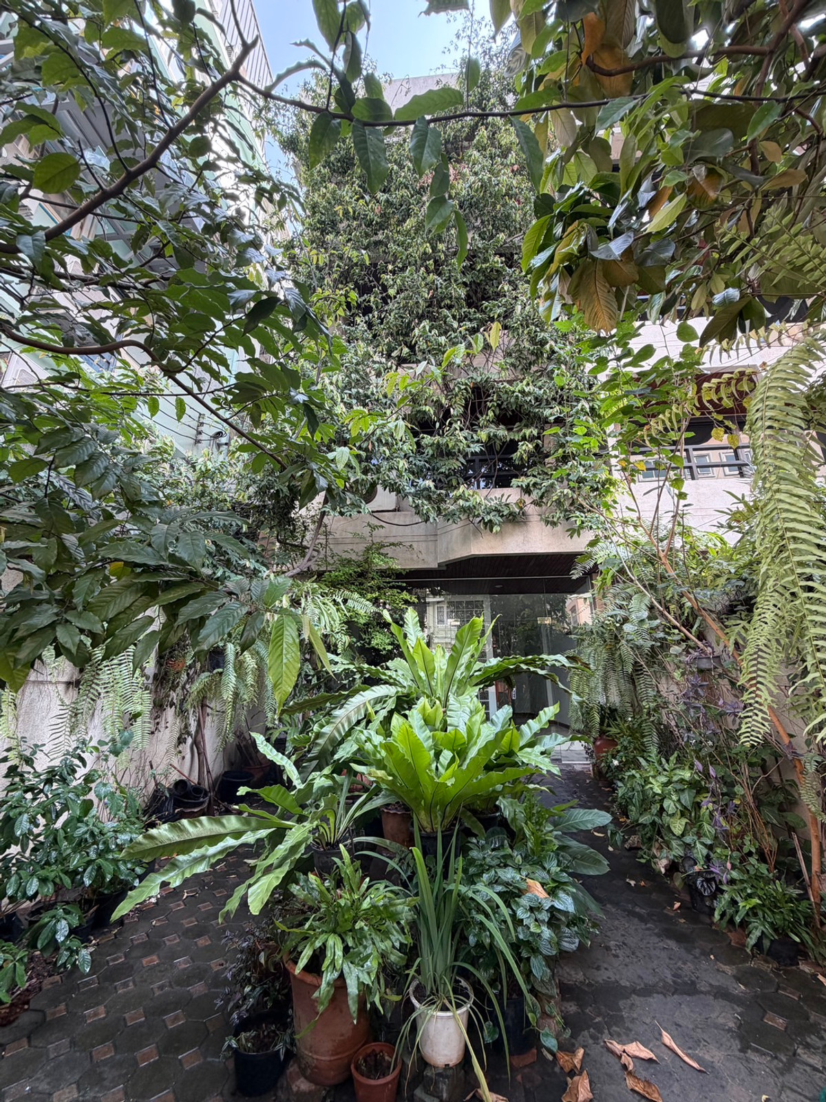 ให้เช่าทาวน์โฮมสุขุมวิท อโศก ทองหล่อ : Townhome Thonglor soi 7 950m from BTS Thonglor: 4Fl 36sqwah 450sqm. 6bed 4bath 250,000/mth. Am: 0656199198