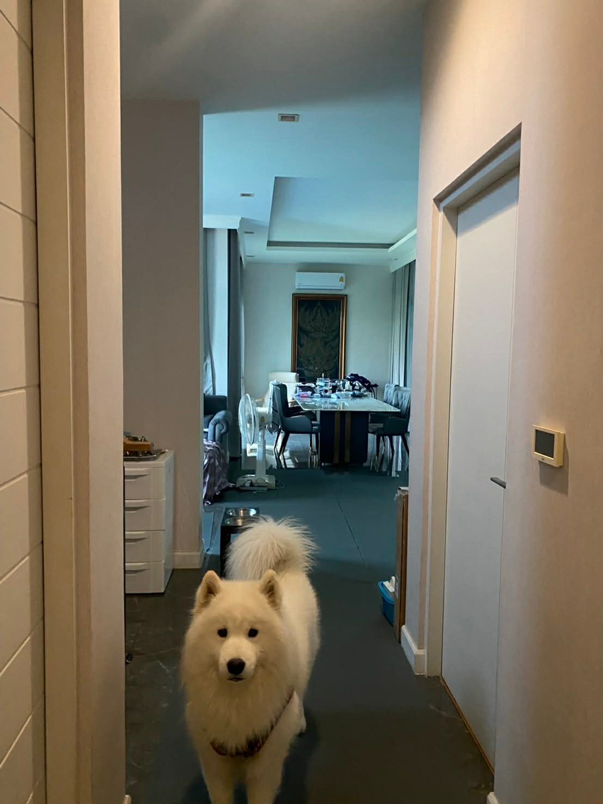 For SaleHouseNonthaburi, Bang Yai, Bangbuathong : 🔥 S-VNWB101 🔥 Line : @p2nproperty