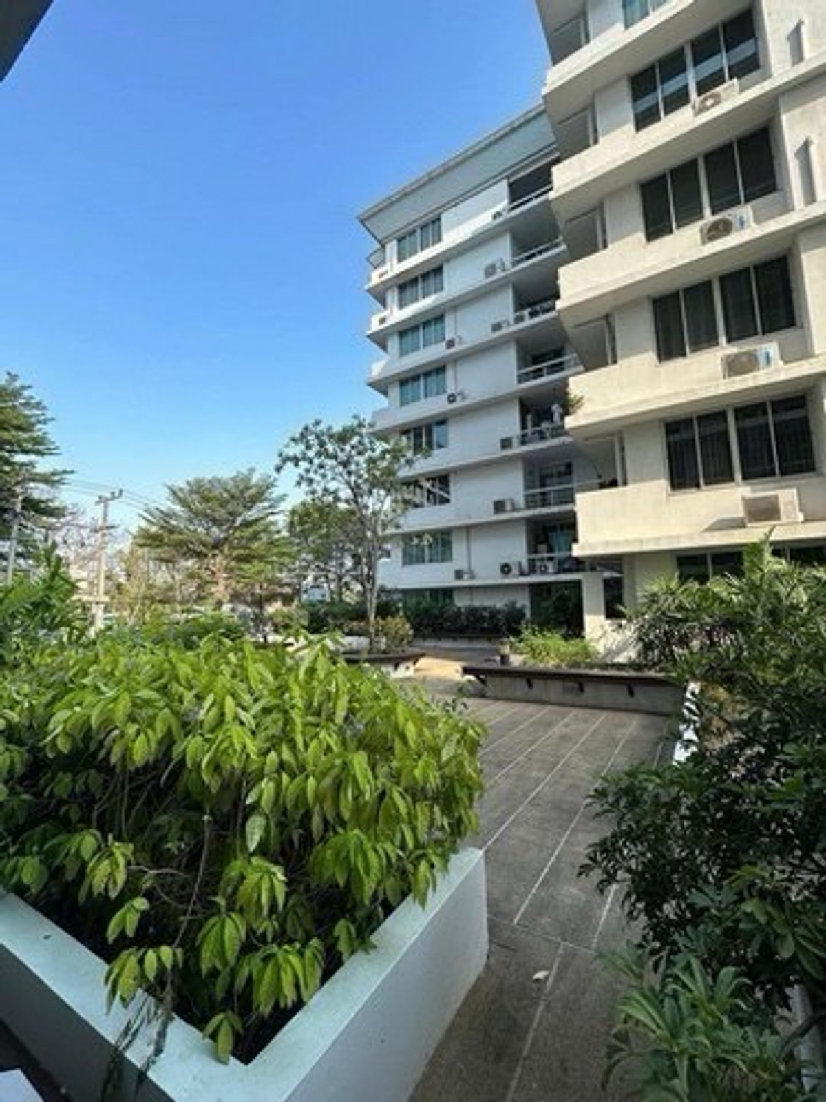 For RentCondoOnnut, Udomsuk : Waterford Sukhumvit 50 – For Rent