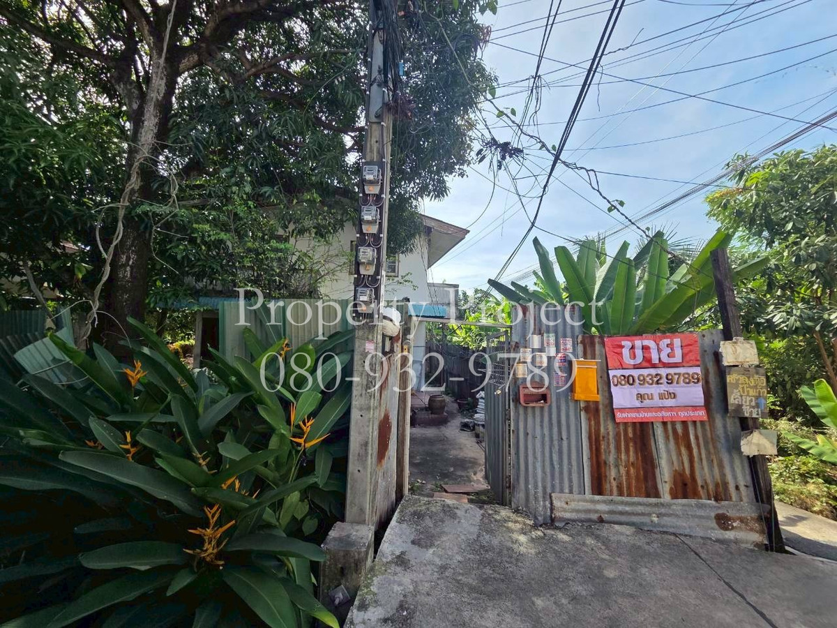 ขายบ้านท่าพระ ตลาดพลู วุฒากาศ : ขาย ที่ดิน 126 ตร.วา พร้อมบ้านเดี่ยว 2 หลัง ซอย เทอดไท 55