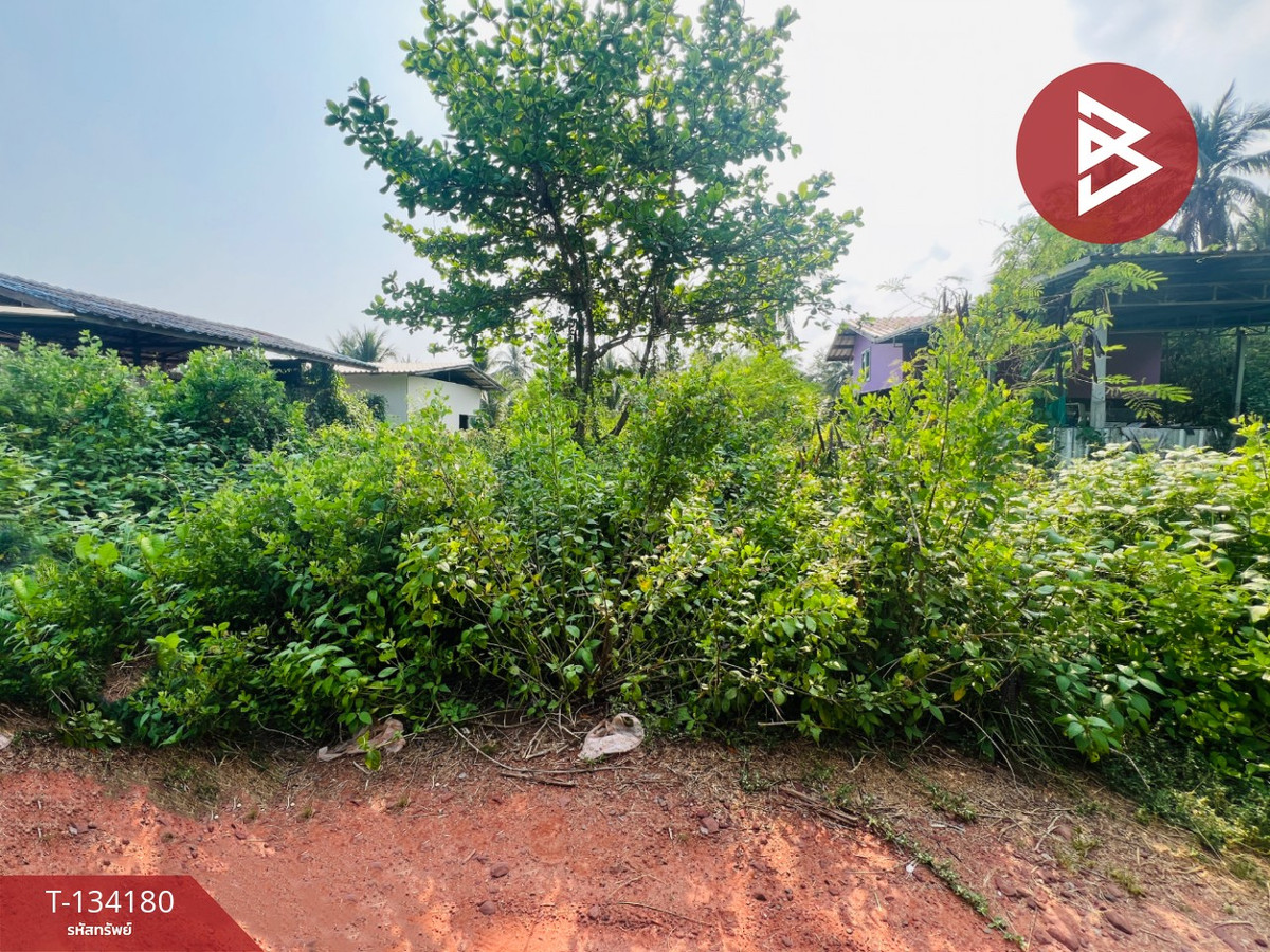 For SaleLandSamut Songkhram : Land for sale, area 1 ngan, Lat Yai, Samut Songkhram
