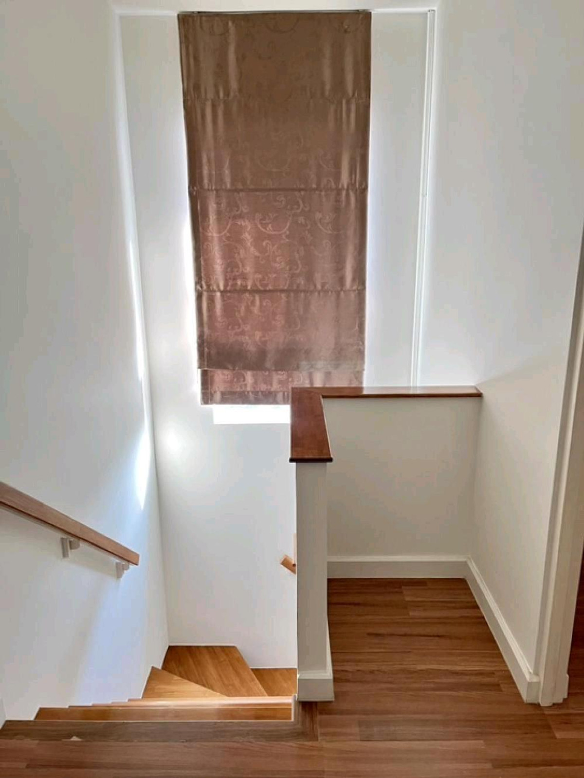 ให้เช่าบ้านนวมินทร์ รามอินทรา : 🦮🐾 Pet Friendly บ้านเดี่ยวทำเลศักยภาพ บรรยากาศสงบ เป็นส่วนตัว หลังบ้านโล่งไม่ชนใคร 🌿 ลมดี ร่มรื่น ใกล้สโมสรส่วนกลาง