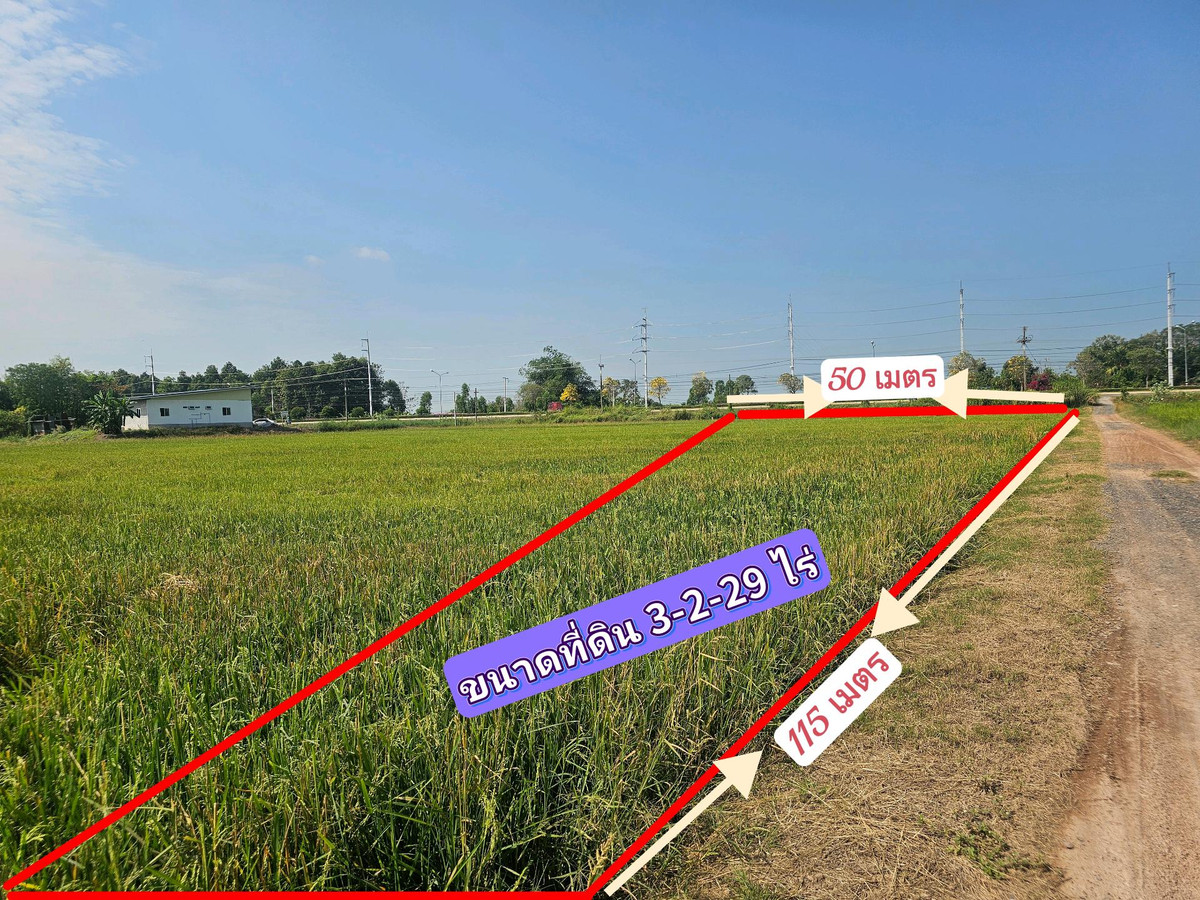 ขายที่ดินพิจิตร : ขายที่ดินติดถนนใหญ่ ทำเลดี จ.พิจิตร