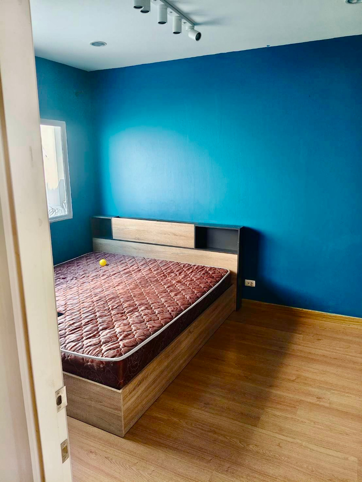 ให้เช่าทาวน์โฮมพัฒนาการ ศรีนครินทร์ : ให้เช่าทาวน์โฮม 3 ชั้น พาทิโอ พัฒนาการ | เฟอร์นิเจอร์ครบ พร้อมเข้าอยู่ | เลี้ยงสัตว์ได้