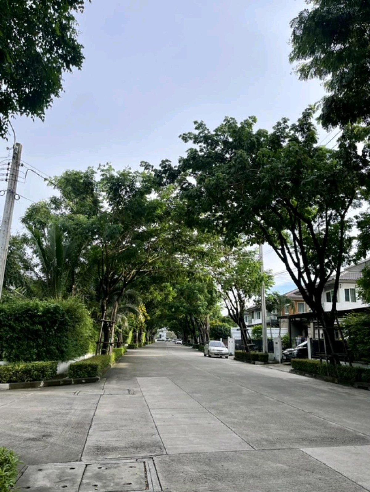 ให้เช่าบ้านนวมินทร์ รามอินทรา : 🦮🐾 Pet Friendly บ้านเดี่ยวทำเลศักยภาพ บรรยากาศสงบ เป็นส่วนตัว หลังบ้านโล่งไม่ชนใคร 🌿 ลมดี ร่มรื่น ใกล้สโมสรส่วนกลาง