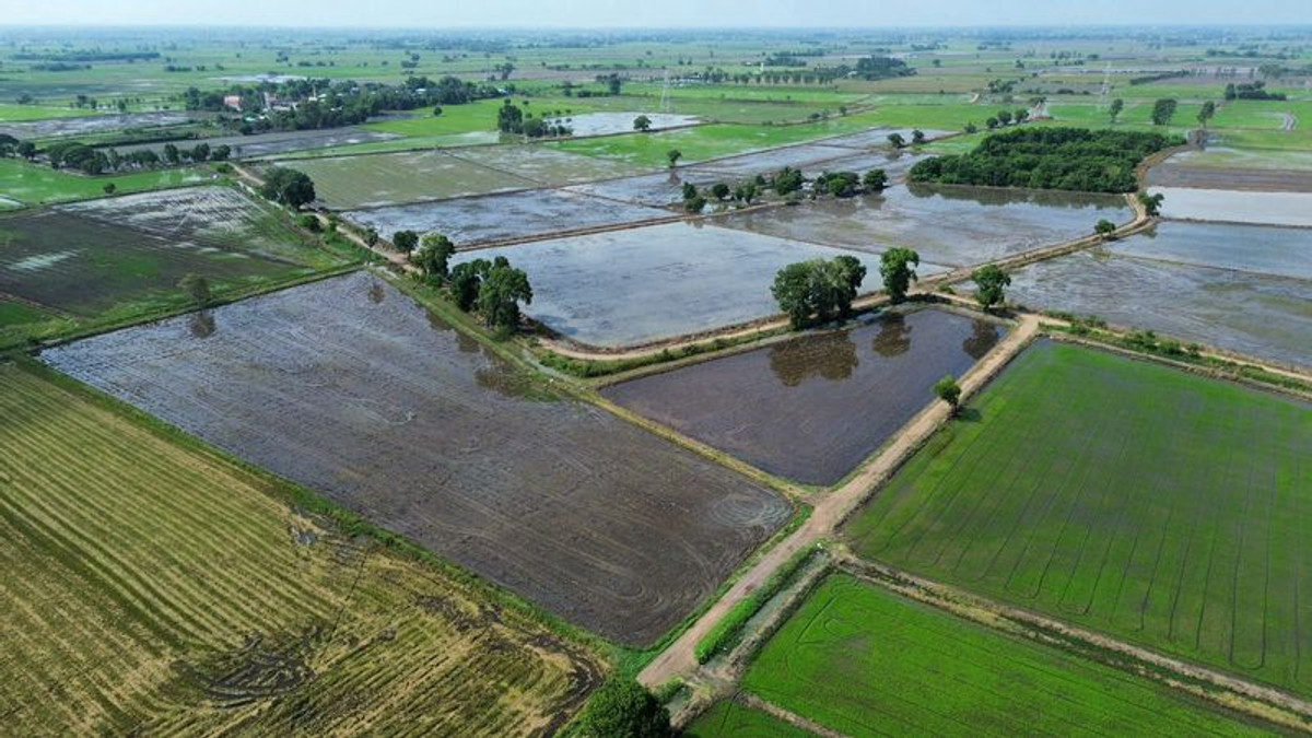 ขายที่ดินสระบุรี : ขายที่นา 27-1-44 ไร่ แปลงสวย น้ำไม่ท่วม ติดทางสาธารณะ ตำบลบ้านกลับ อำเภอหนองโดน จังหวัดสระบุรี