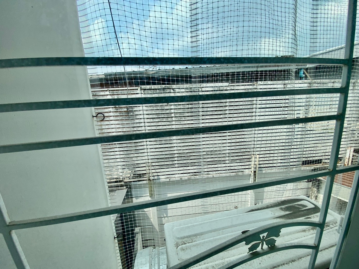 ขายทาวน์โฮมลาดพร้าว101 แฮปปี้แลนด์ : ขายทาวน์โฮม 3 ชั้น บ้านกลางเมือง ลาดพร้าว 87 | บ้านเปล่า แต่งได้ตามสไตล์ | ทำเลเมือง เดินทางสะดวก