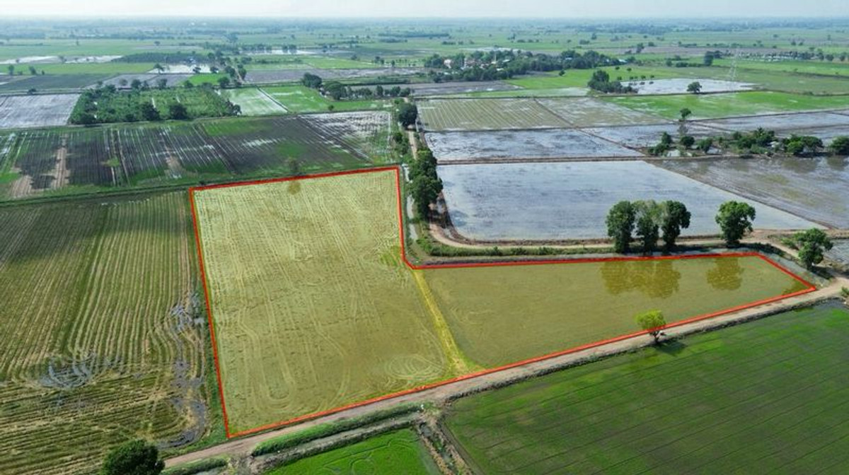 ขายที่ดินสระบุรี : ขายที่นา 27-1-44 ไร่ แปลงสวย น้ำไม่ท่วม ติดทางสาธารณะ ตำบลบ้านกลับ อำเภอหนองโดน จังหวัดสระบุรี