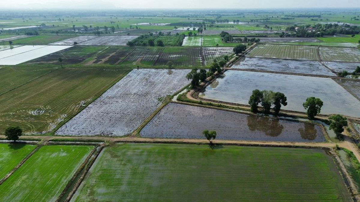For SaleLandSaraburi : Rice field for sale, 27-1-44 rai, beautiful plot, no flooding, next to a public road, Ban Klap Subdistrict, Nong Don District, Saraburi Province.
