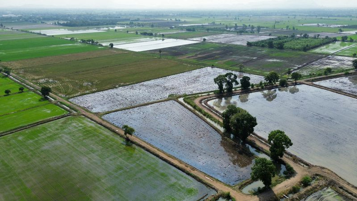 ขายที่ดินสระบุรี : ขายที่นา 27-1-44 ไร่ แปลงสวย น้ำไม่ท่วม ติดทางสาธารณะ ตำบลบ้านกลับ อำเภอหนองโดน จังหวัดสระบุรี