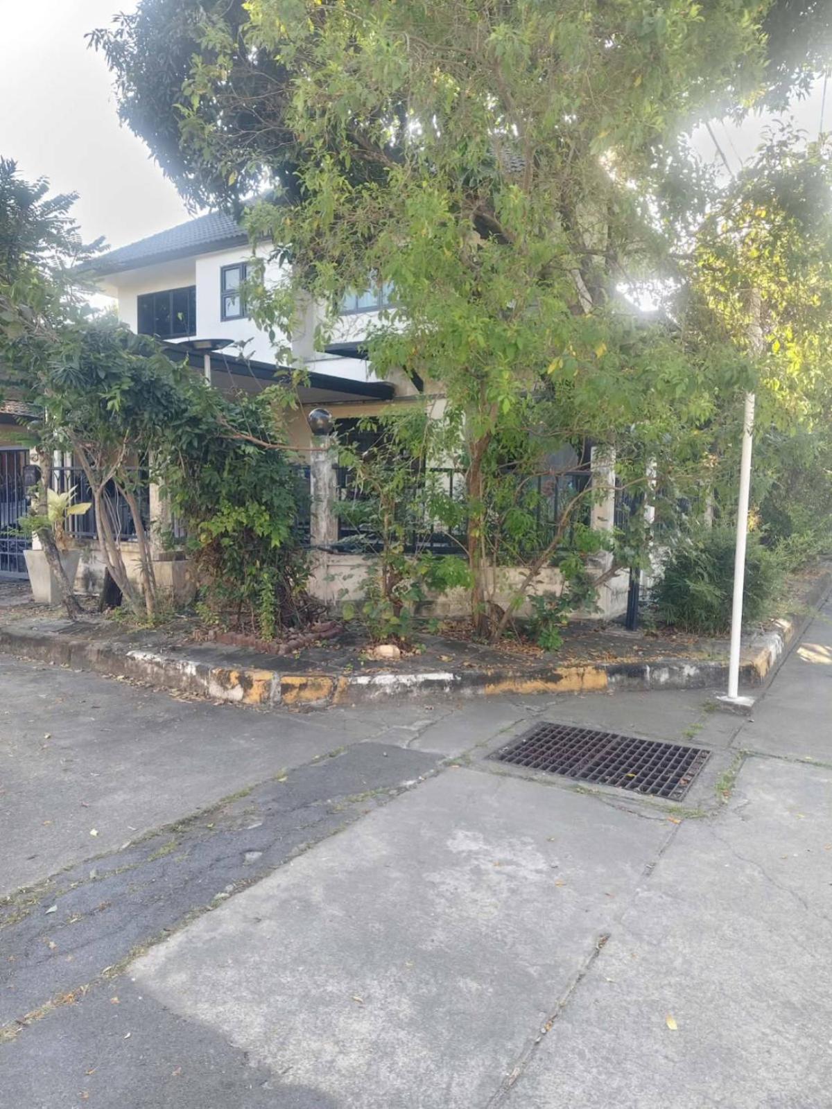 ขายบ้านเอกชัย บางบอน : ขายบ้าน  บ้านกล้วยไม้ บางบอน ห้องมุม หน้ากว้าง บางบอน เขต บางบอน กรุงเทพ CX-147538