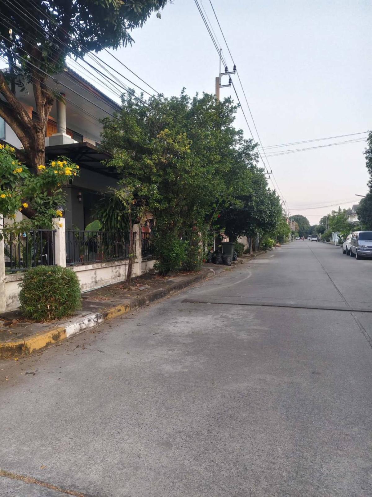 ขายบ้านเอกชัย บางบอน : ขายบ้าน  บ้านกล้วยไม้ บางบอน ห้องมุม หน้ากว้าง บางบอน เขต บางบอน กรุงเทพ CX-147538