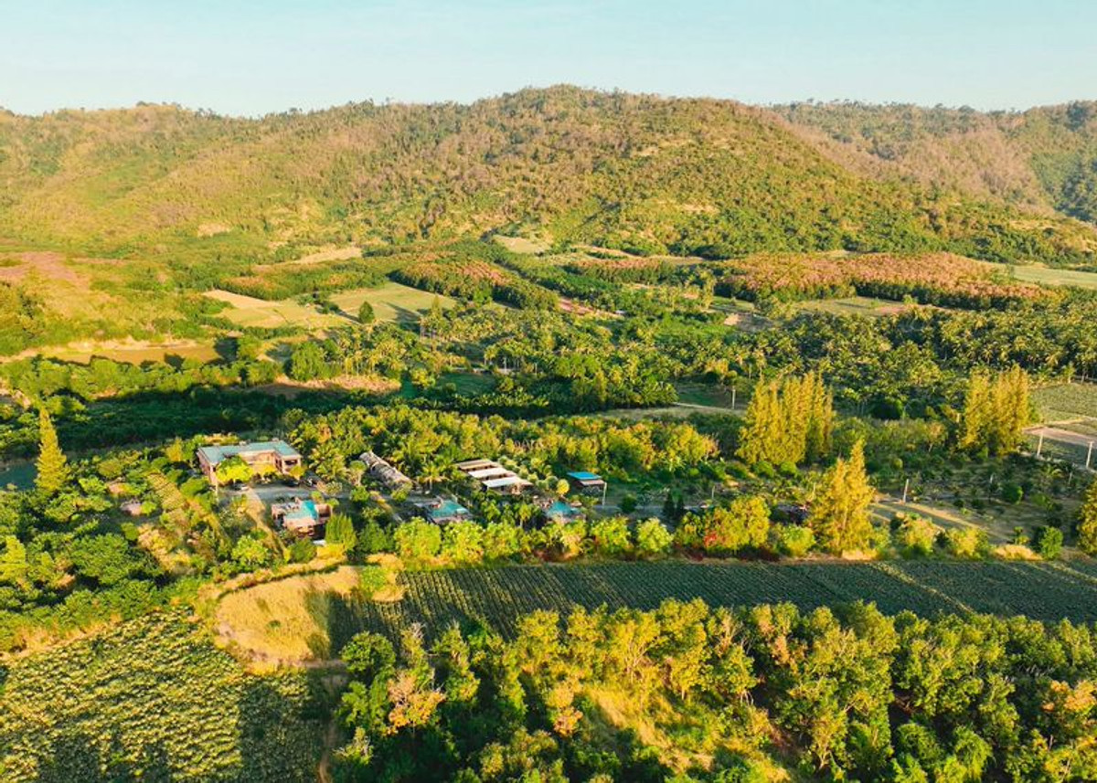 ขายกิจการโรงแรม & กิจการอพาร์ตเมนต์หัวหิน ประจวบคีรีขันธ์ : ขายรีสอร์ทและร้านอาหาร สโนว์แซนด์วิว 360 องศา เนื้อที่ 42 ไร่ 32 ตารางวา ตำบลห้วยทราย อำเภอเมือง จังหวัดประจวบคีรีขันธ์