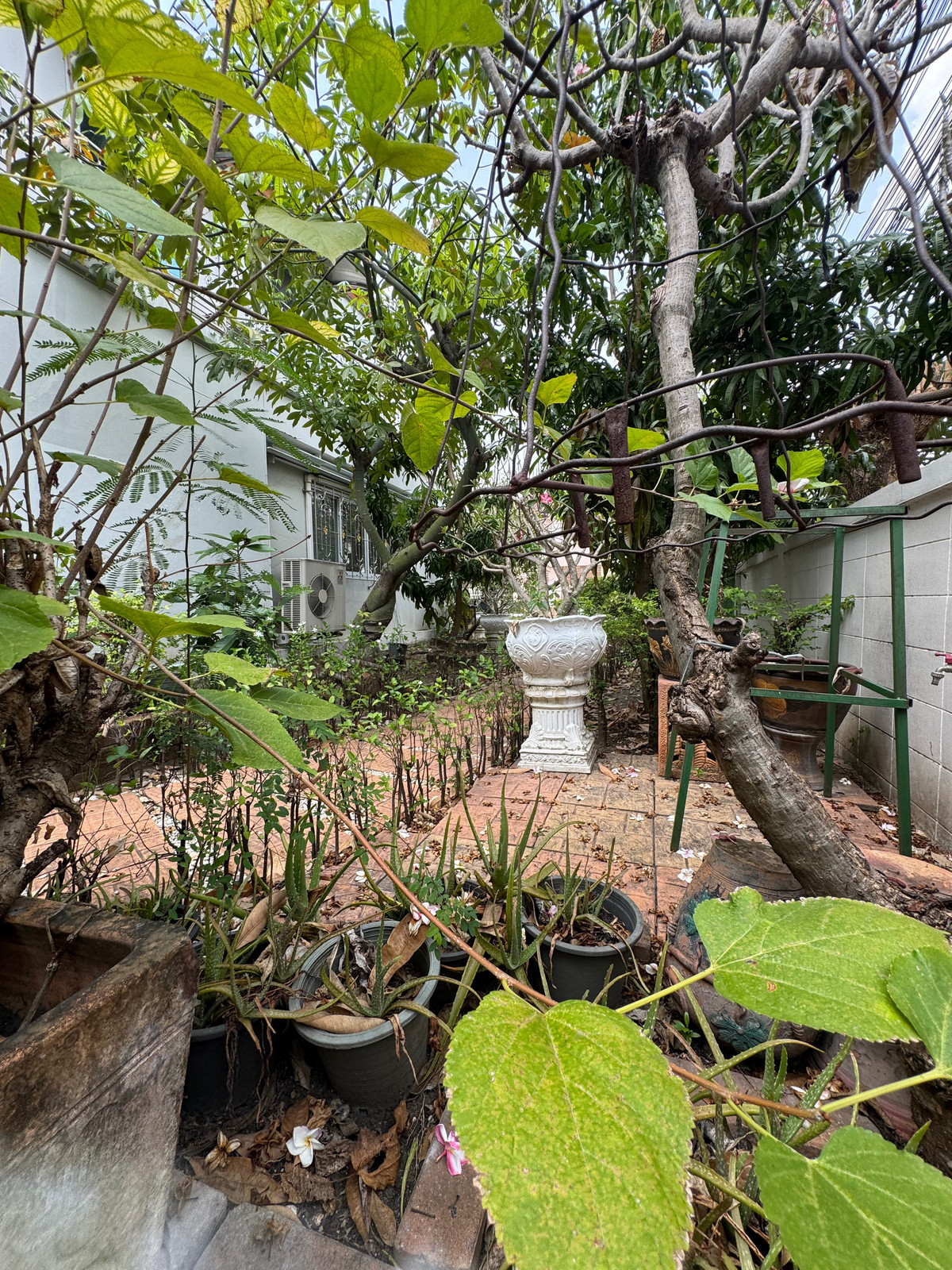 Home OfficeEakachai, Bang Bon : Massive Garden & 1st Floor Luxury Office | 5BR Detached House in Thawatphong Village BangBon5 | Luxuriously Furnished