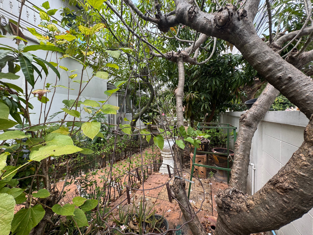 Home OfficeEakachai, Bang Bon : Massive Garden & 1st Floor Luxury Office | 5BR Detached House in Thawatphong Village BangBon5 | Luxuriously Furnished