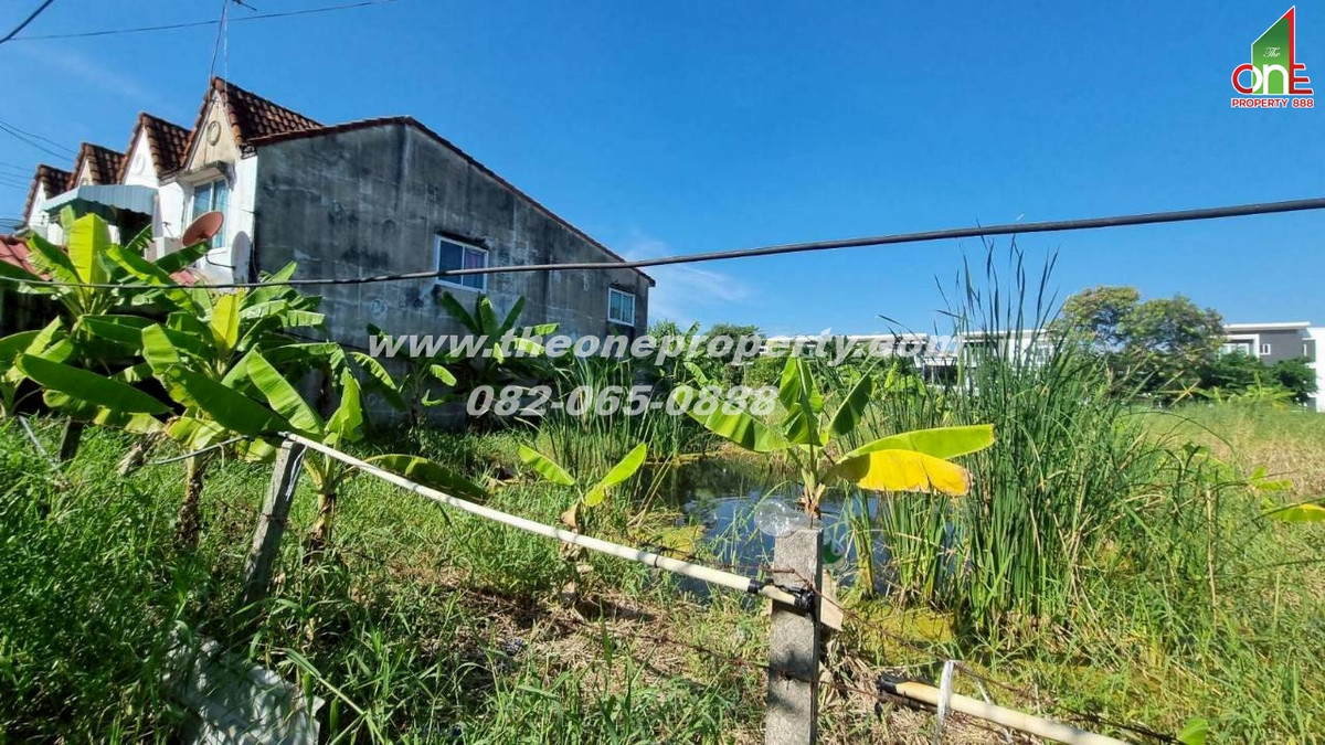 ขายที่ดินวิภาวดี ดอนเมือง หลักสี่ : ที่ดิน 69 ตรว. ซอยวิภาวดี70 ถ.แจ้งวัฒนะ แขวงตลาดบางเขน เขตหลักสี่ กทม.