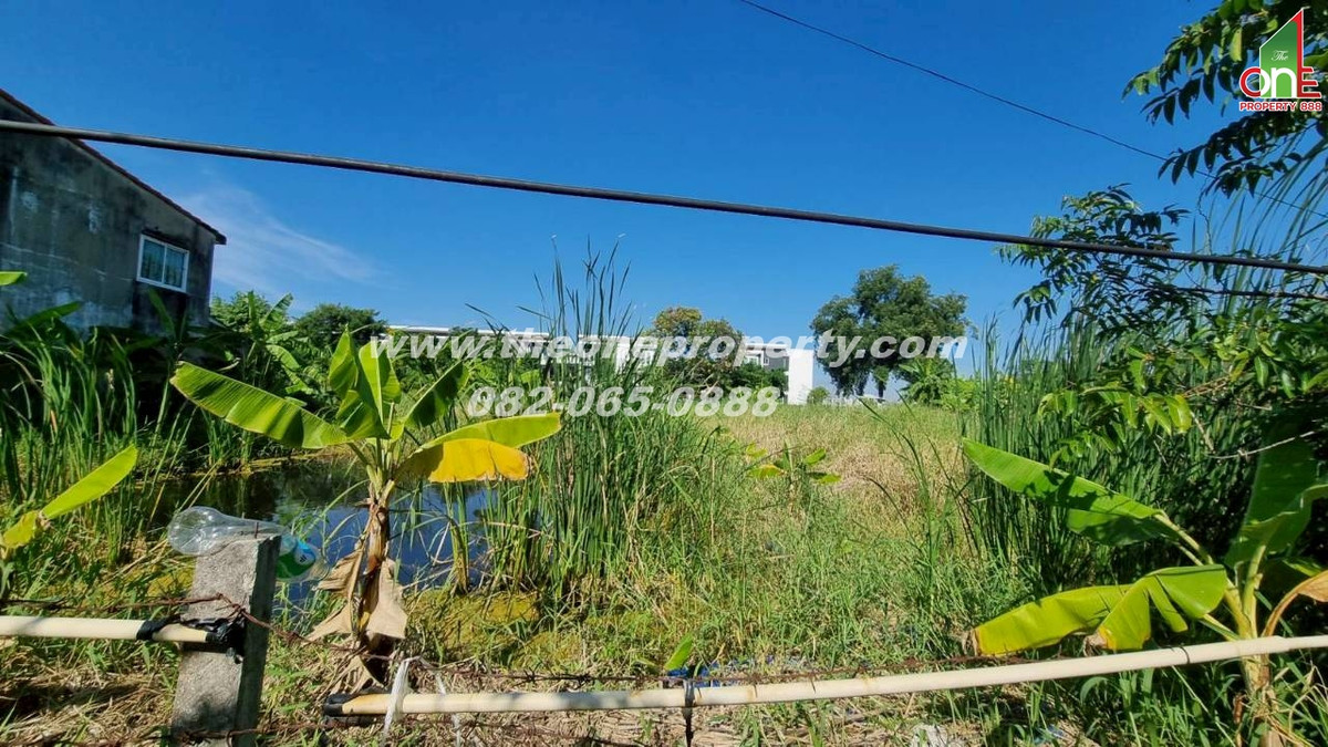 ขายที่ดินวิภาวดี ดอนเมือง หลักสี่ : ที่ดิน 69 ตรว. ซอยวิภาวดี70 ถ.แจ้งวัฒนะ แขวงตลาดบางเขน เขตหลักสี่ กทม.