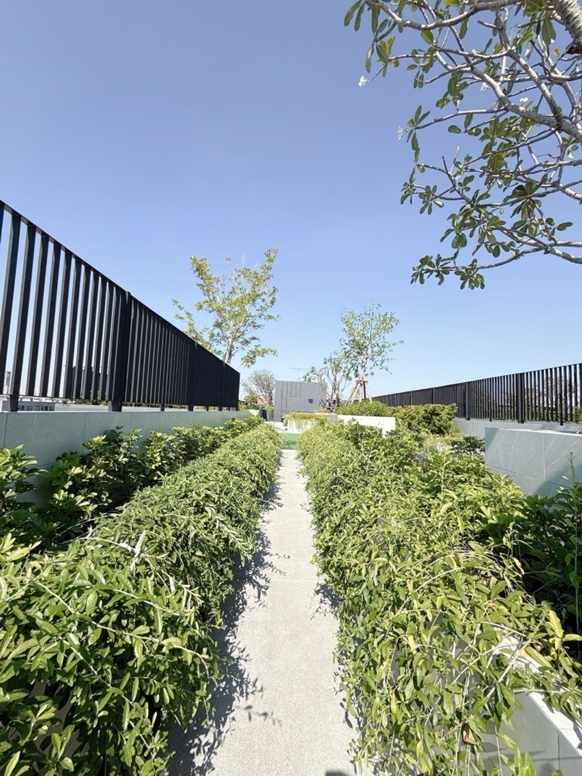 ขายคอนโดบางนา แบริ่ง ลาซาล : 𝐀𝐑𝐋𝐎 𝐋𝐀𝐒𝐀𝐋𝐋𝐄 𝟏𝟕 𝐅𝐑𝐄𝐄 เงินดาวน์ 𝐎 บาท ผ่อนสบายๆ 𝟔,𝟗𝟎𝟎/เดือน พร้อมเข้าอยู่ ห้องใหม่มือ𝟏 จากโครงการโดยตรง 