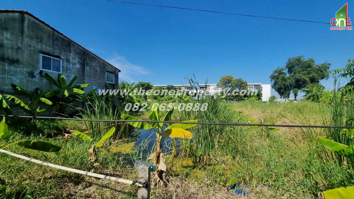 ขายที่ดินวิภาวดี ดอนเมือง หลักสี่ : ที่ดิน 69 ตรว. ซอยวิภาวดี70 ถ.แจ้งวัฒนะ แขวงตลาดบางเขน เขตหลักสี่ กทม.