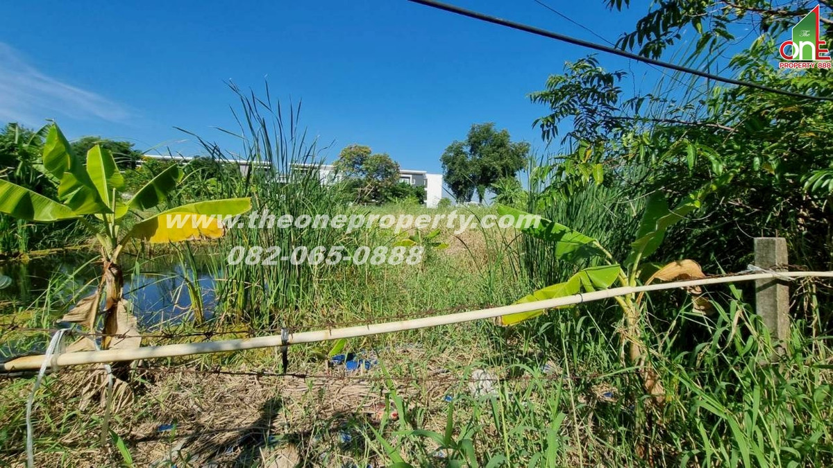 ขายที่ดินวิภาวดี ดอนเมือง หลักสี่ : ที่ดิน 69 ตรว. ซอยวิภาวดี70 ถ.แจ้งวัฒนะ แขวงตลาดบางเขน เขตหลักสี่ กทม.