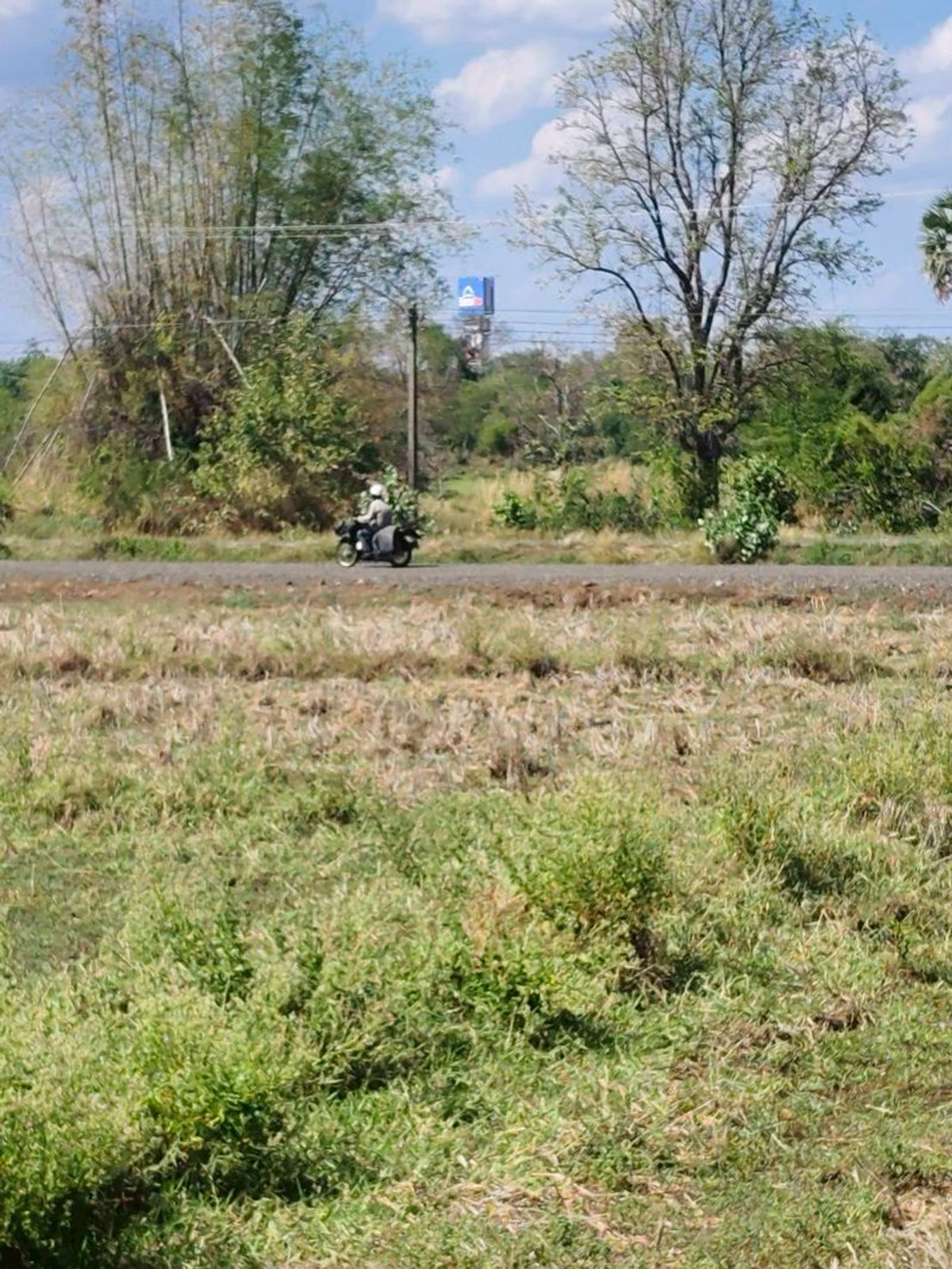 ขายที่ดินบุรีรัมย์ : ขายที่ดินเปล่า ถมแล้ว เนื้อที่ 9 ไร่ 84 ตารางวา ใกล้สนามช้างอารีน่า อำเภอเมืองบุรีรัมย์ ตำบลอิสาณ จังหวัดบุรีรัมย์